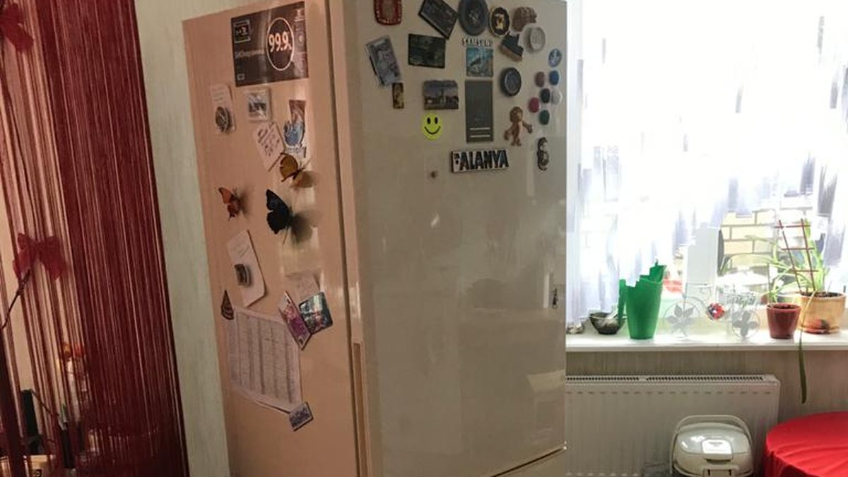 Холодильник на кухне